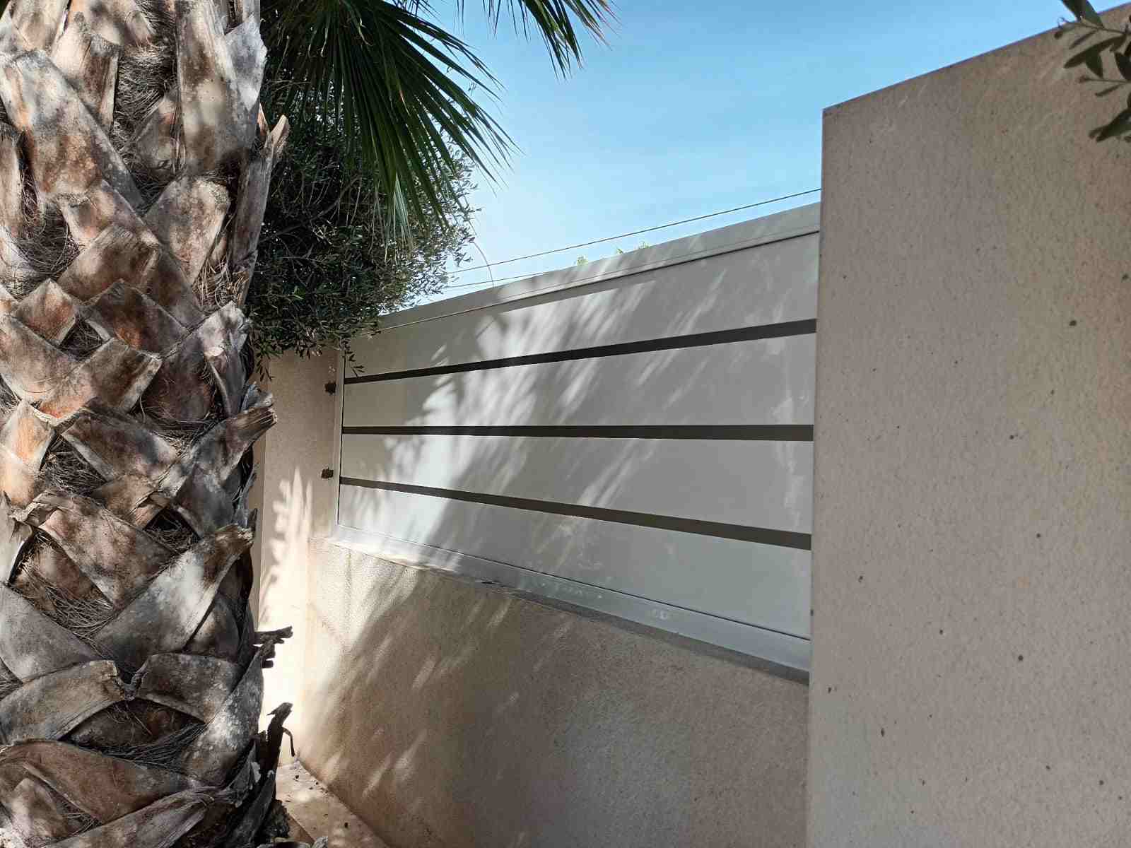 valla y palmera
